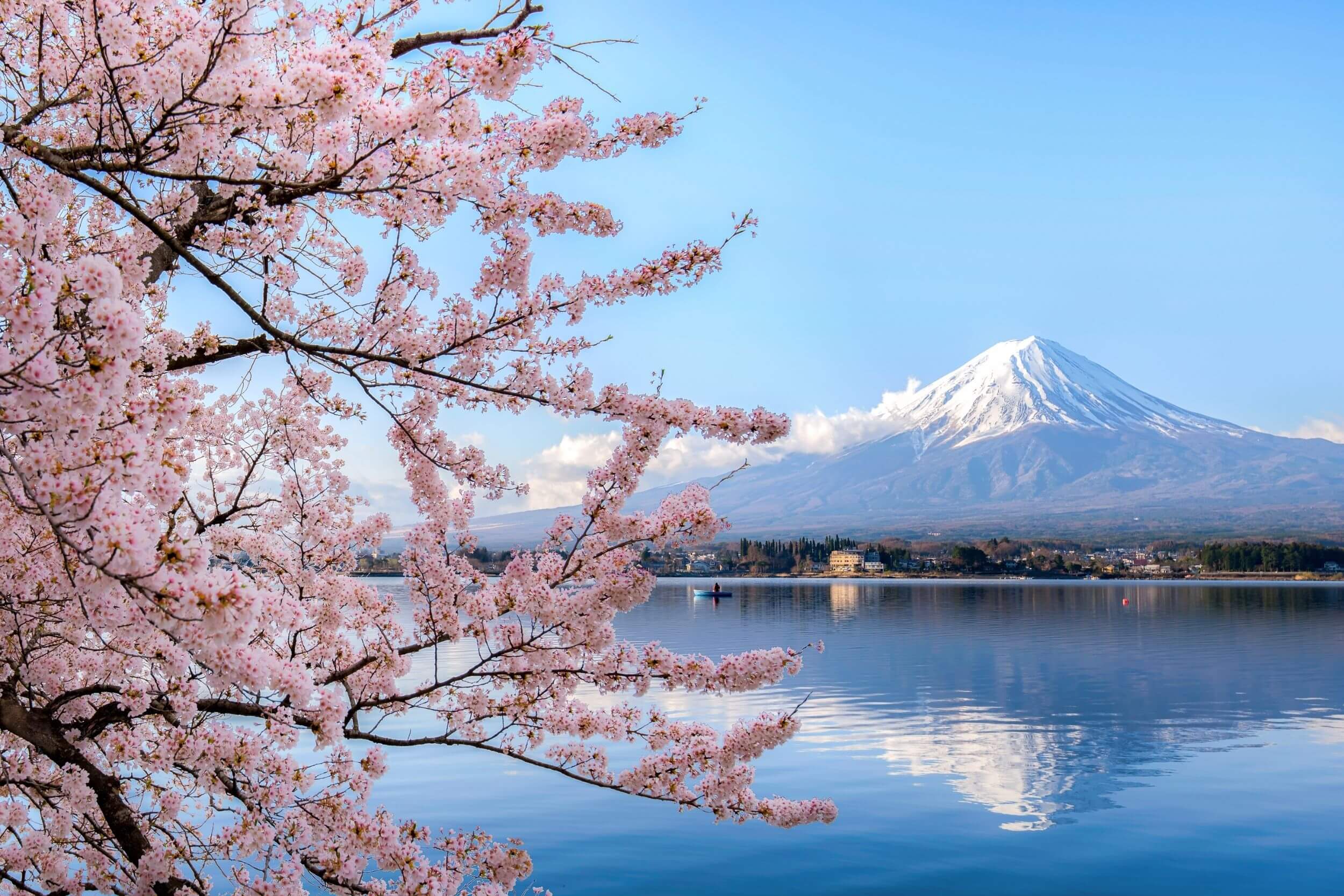 mount fuji in japan